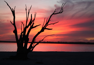 Lutheran Churches of Australia